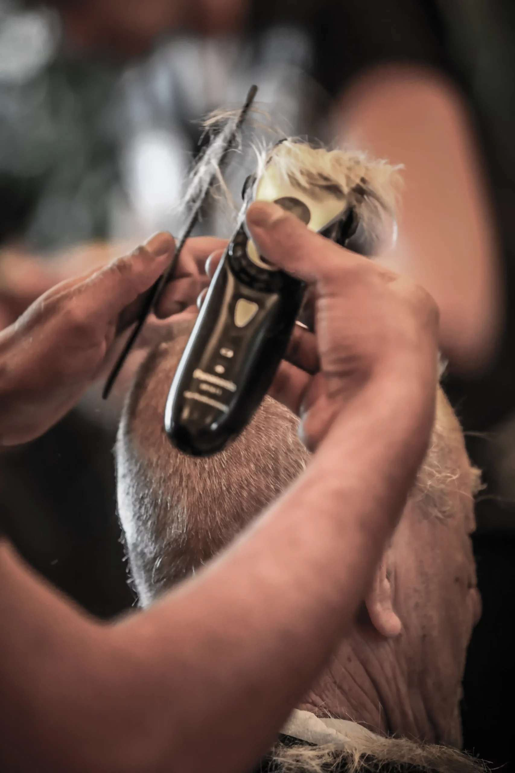 Barber Angels Brotherhood e.v Fotos Susi Weisel (20)