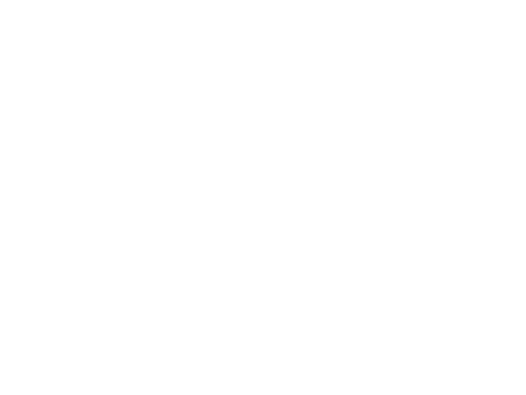 Gieseke_weiss